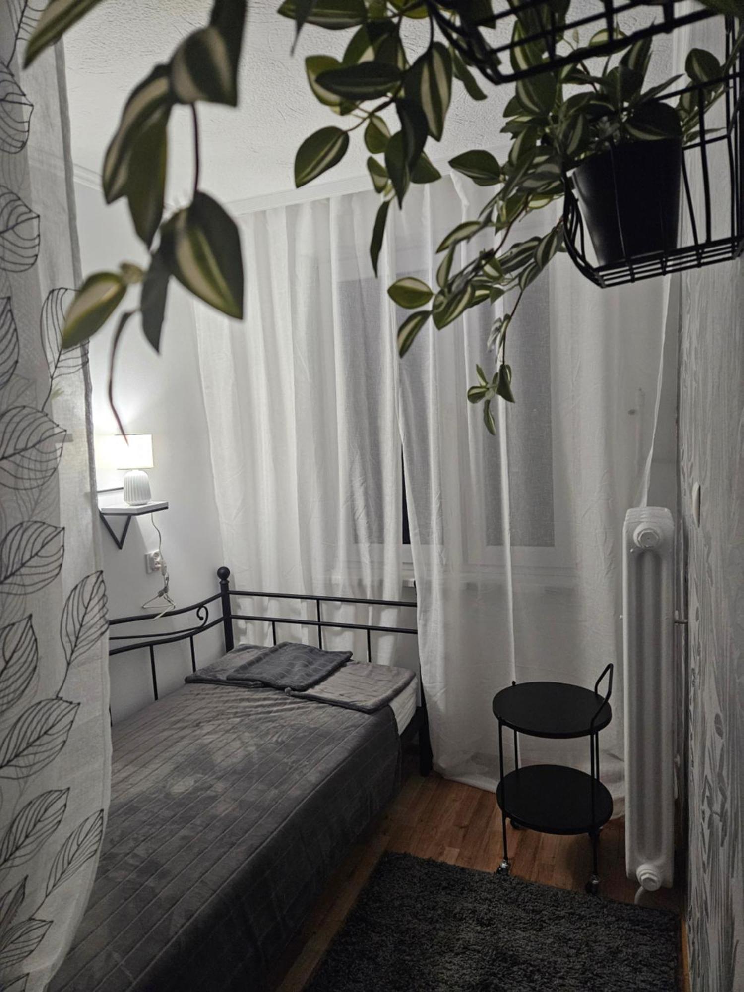 Apartment Diselvio